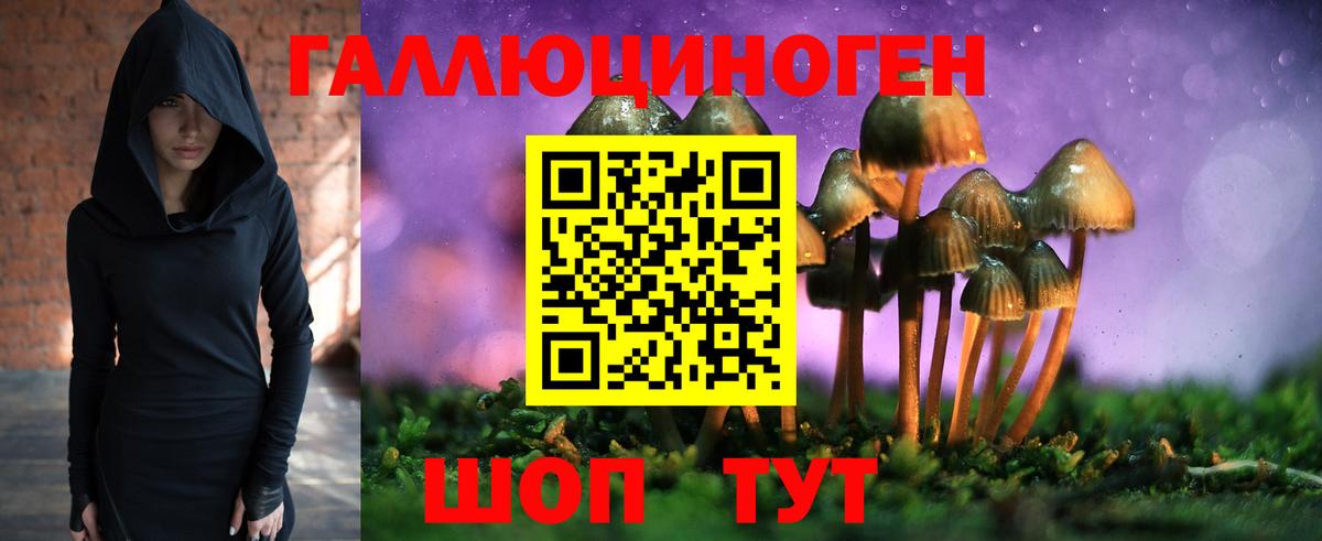 Галлюциногенные грибы MAGIC MUSHROOMS  наркошоп  Апрелевка 